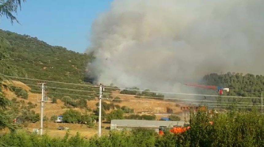 İzmir'de korkutan orman yangını!