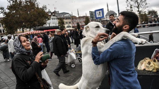 Köpeğe sarılan adam