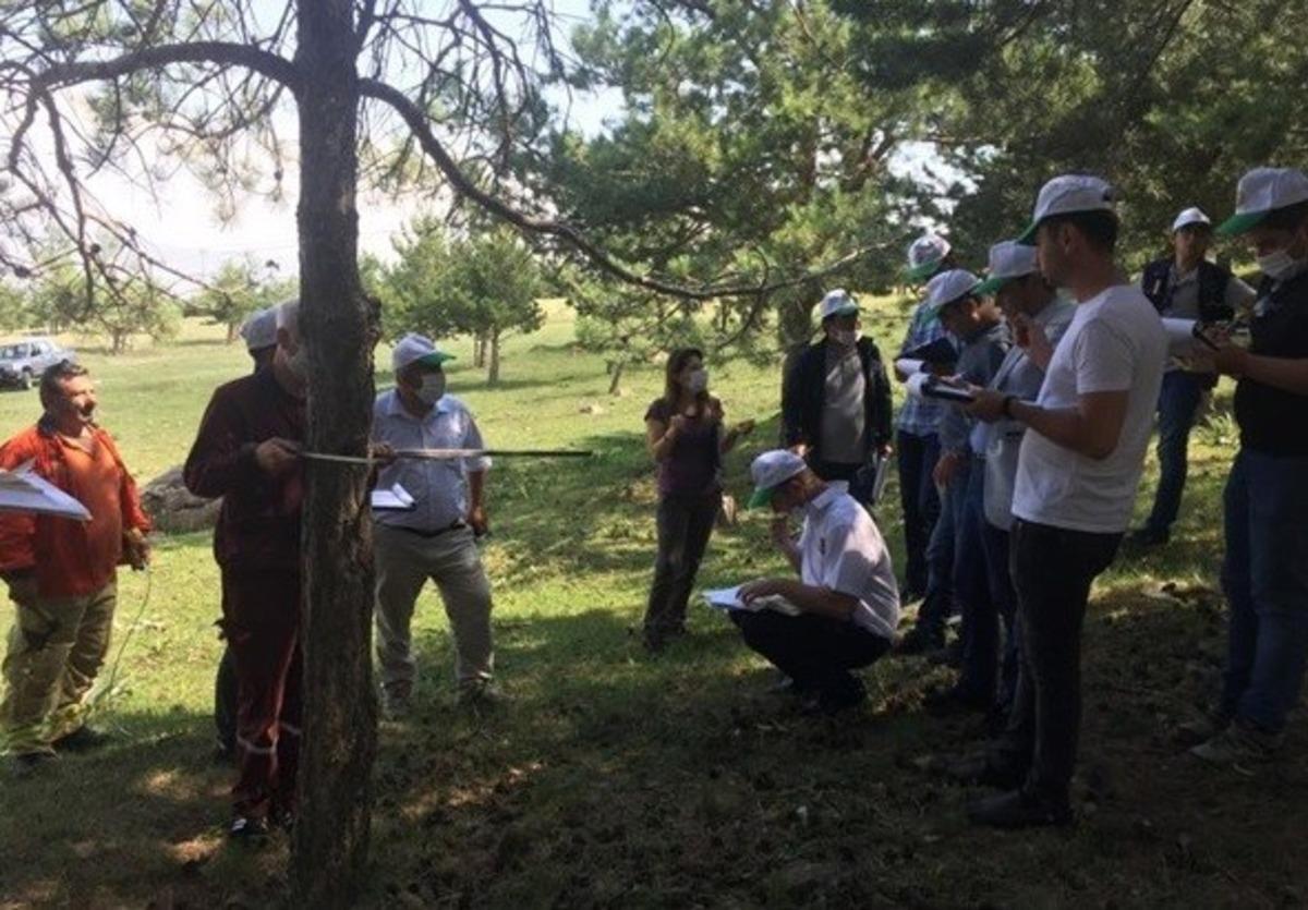 Erzurum&rsquo;da orman ekosistemlerini izleme eğitimi verildi