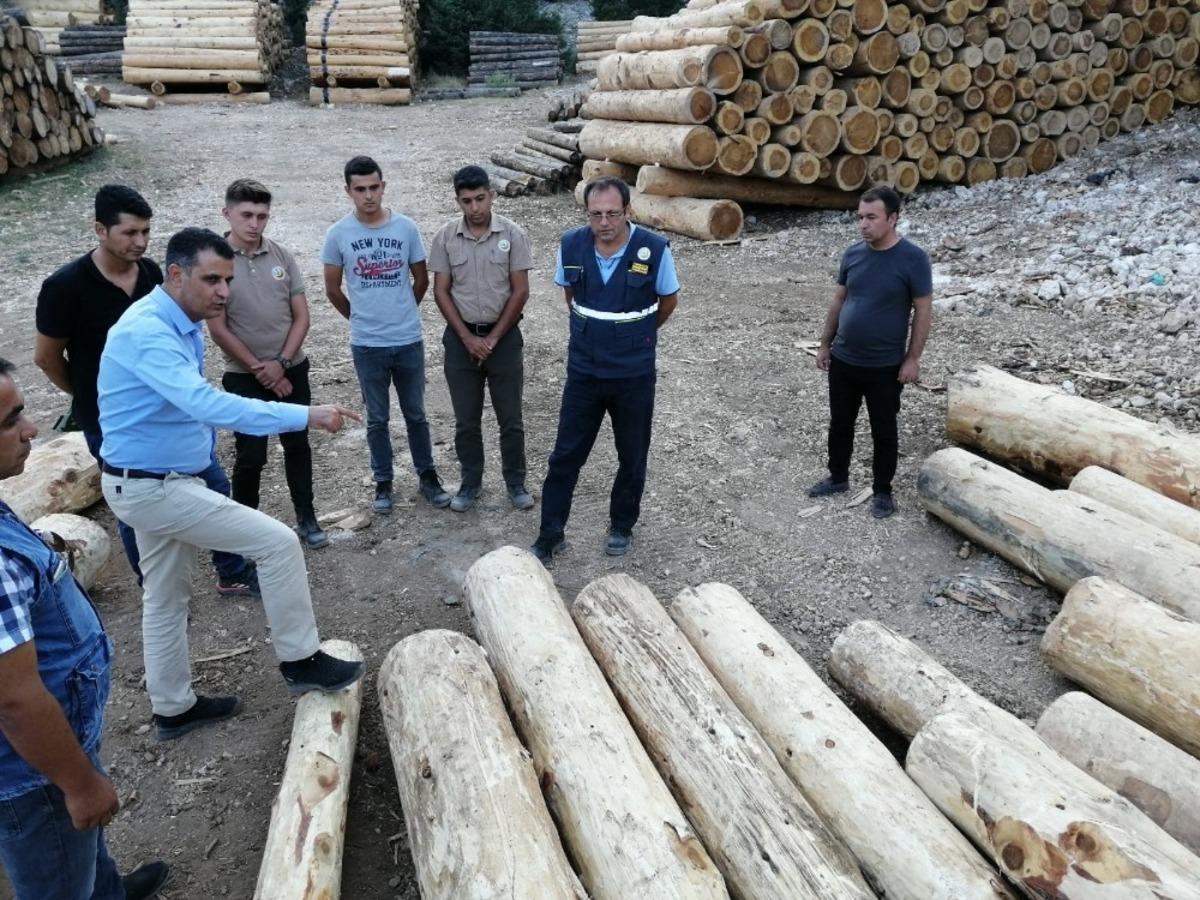 Akduman: &ldquo;Anamur&rsquo;da ormanları tehlikelere karşı daha dayanıklı hale getirdik&rdquo;