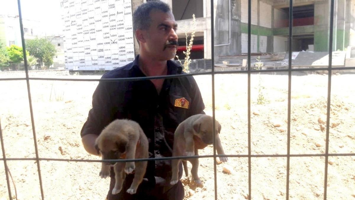 Molozların arasına sıkışan yavru k&ouml;pekler kurtarıldı