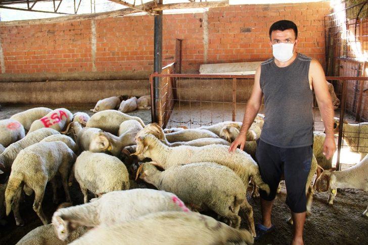 Kurban pazarlığında tokalaşma devri bitti, iple pazarlık başladı G2