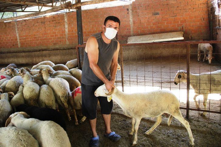 Kurban pazarlığında tokalaşma devri bitti, iple pazarlık başladı G3