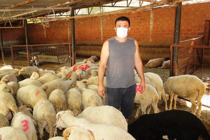 Kurban pazarlığında tokalaşma devri bitti, iple pazarlık başladı G4