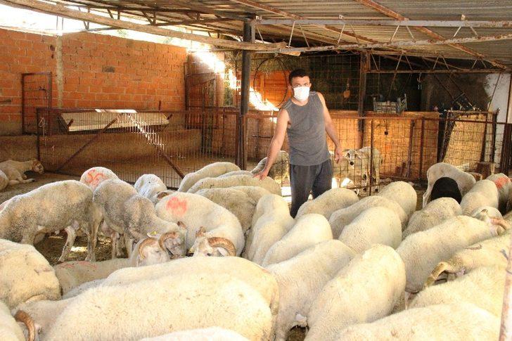 Kurban pazarlığında tokalaşma devri bitti, iple pazarlık başladı G5