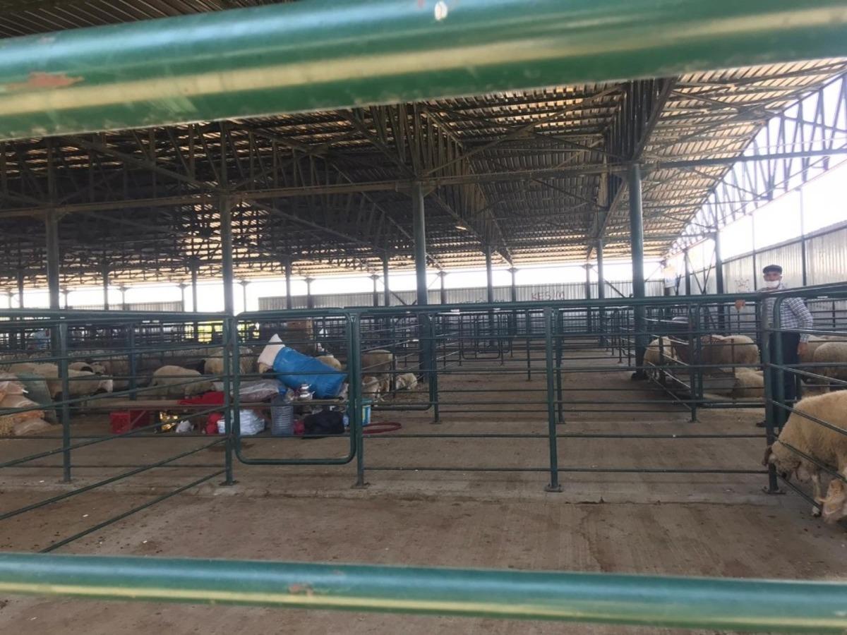 Kurban pazarında sessizlik