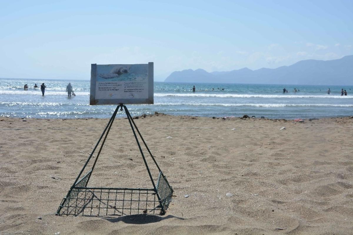 İztuzu&rsquo;nda yuva rekor sayıya ulaştı