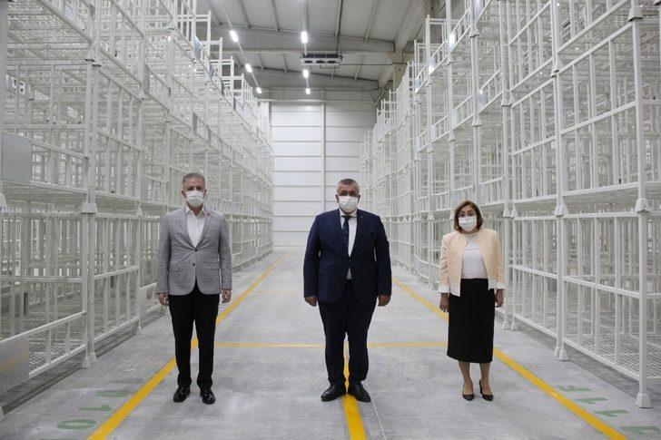 Vali Gül ve Başkan Şahin, Antep Fıstığı Lisanslı Depo ve Et Borsası’nda incelemelerde bulundu G1