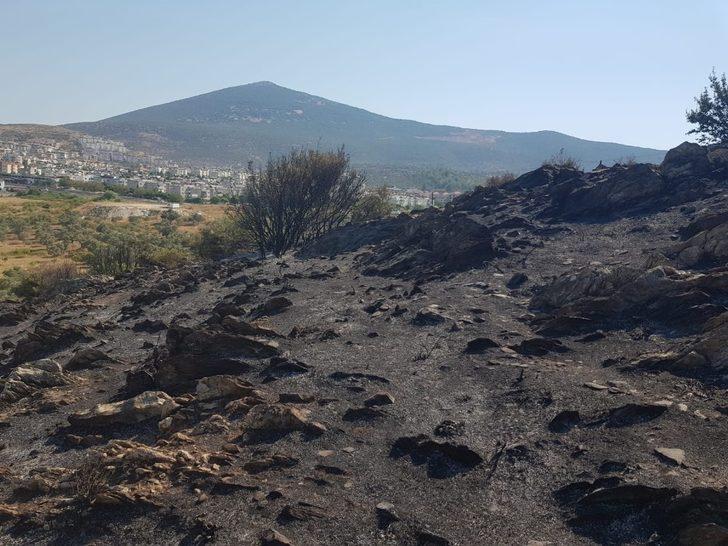 Zeytin, badem ve armut ağaçları zarar gördü G5