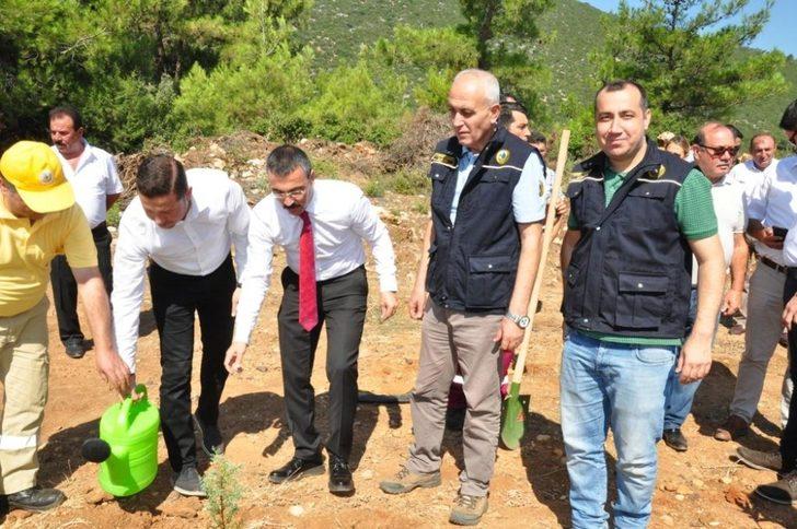 Milas Orman İşletme Müdürlüğü’nde yeni atama G2