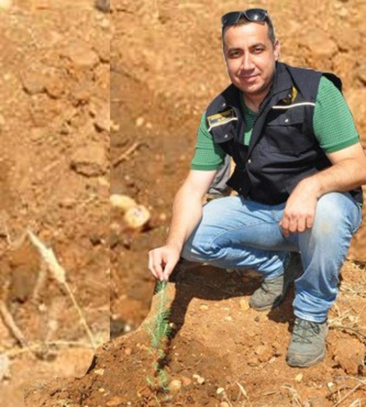 Milas Orman İşletme Müdürlüğü’nde yeni atama G3