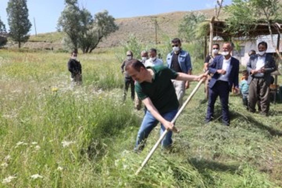 Vali Akbıyık, ziyaret ettiği k&ouml;yde tırpanla ot bi&ccedil;ti