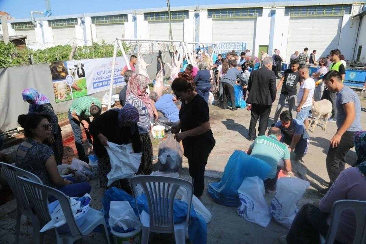 Odunpazarı Belediyesi&rsquo;nden &uuml;cretsiz kurban kesim hizmeti