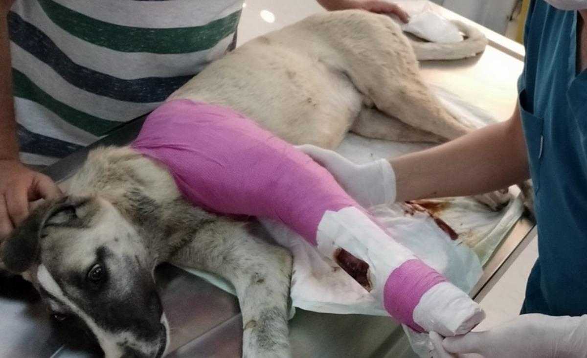 Edremit Belediyesi &ouml;m&uuml;rl&uuml;k yuvası oldu