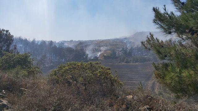 Çanakkale de korkutan orman yangını 3