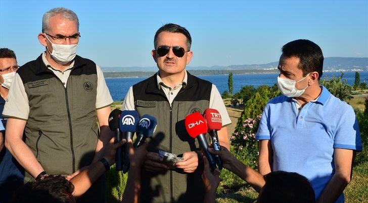 Tarım ve Orman Bakanı Pakdemirli: "Tüm yangınların hepsi kontrol altında" G2