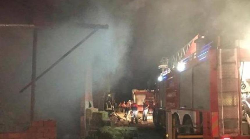 Acı haber! 40 b&uuml;y&uuml;kbaş hayvan &ouml;ld&uuml;