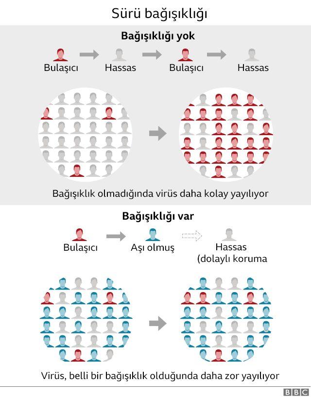 suru bağışıklığı