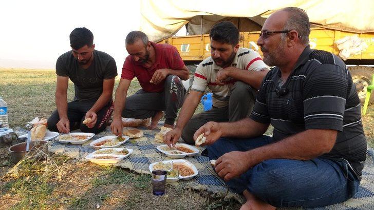 Biçerdövercilerin zorlu gurbet mesaisi G2