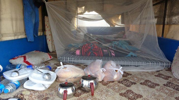 Biçerdövercilerin zorlu gurbet mesaisi G3