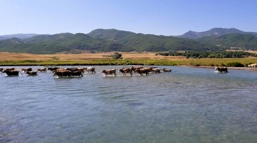 Doğu Anadolu&rsquo;da hava sıcaklığı mevsim normallerinin &uuml;zerine &ccedil;ıktı