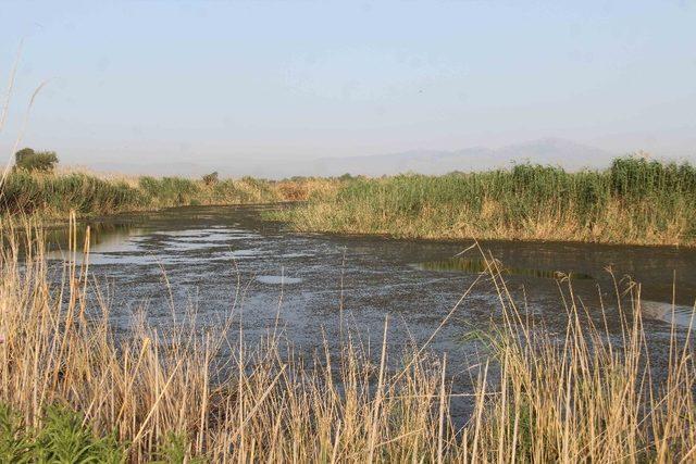 Menderes Havzası’nde denetimler sürüyor