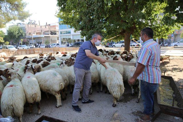 Haliliye’de bayram öncesi tedbirler sıklaştırıldı