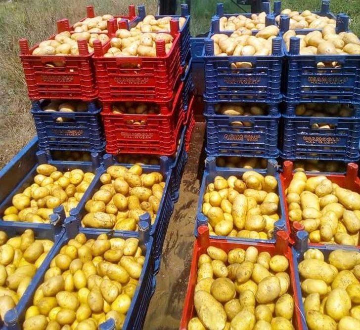 Hisarcık’ta yerli patates çıktı fiyatlar düştü G2