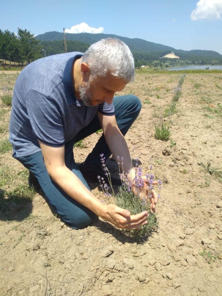 Başkan Biçer’den lavanta bahçesine özel bakım G1