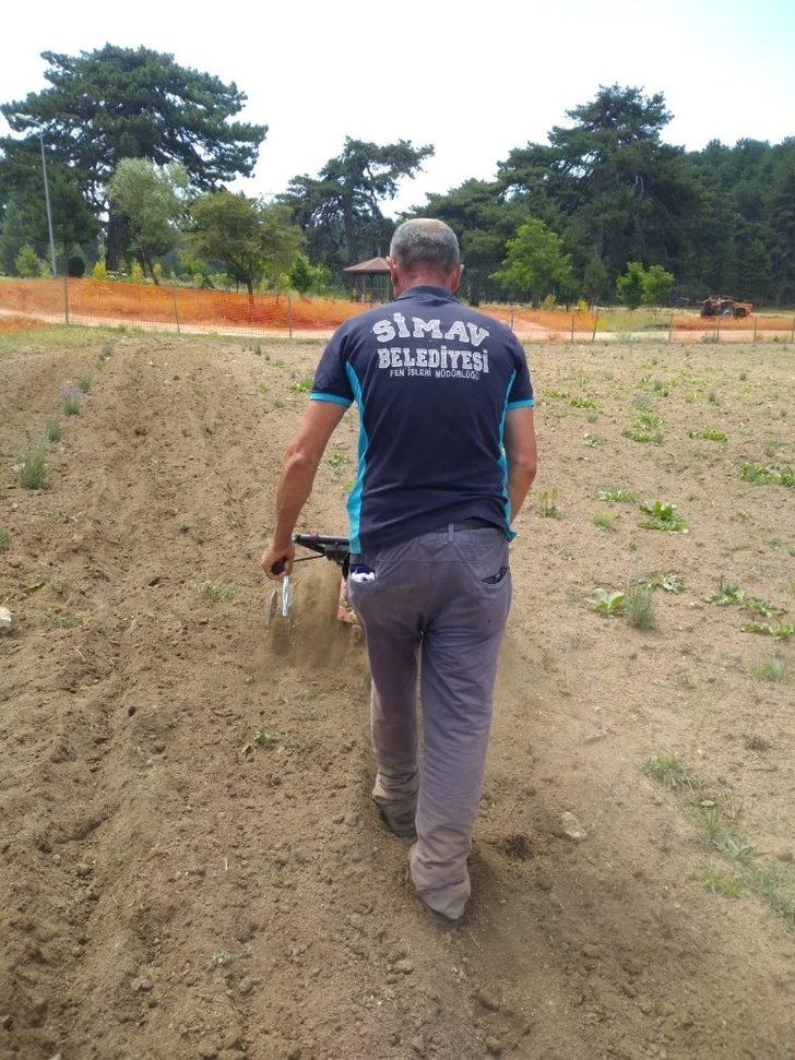 Başkan Biçer’den lavanta bahçesine özel bakım G4