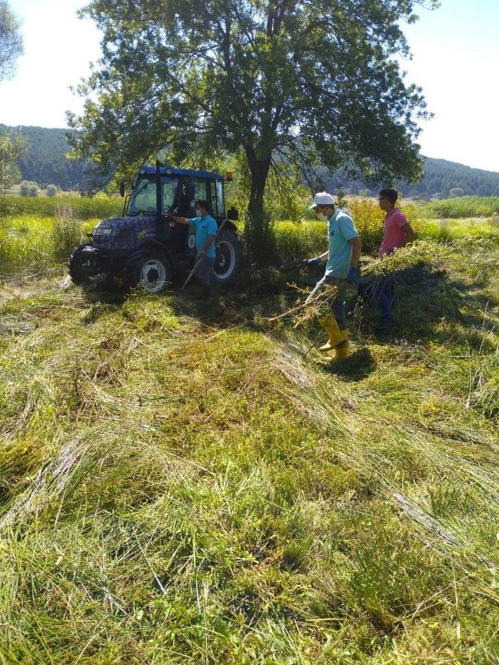 Başkan Biçer’den lavanta bahçesine özel bakım G5