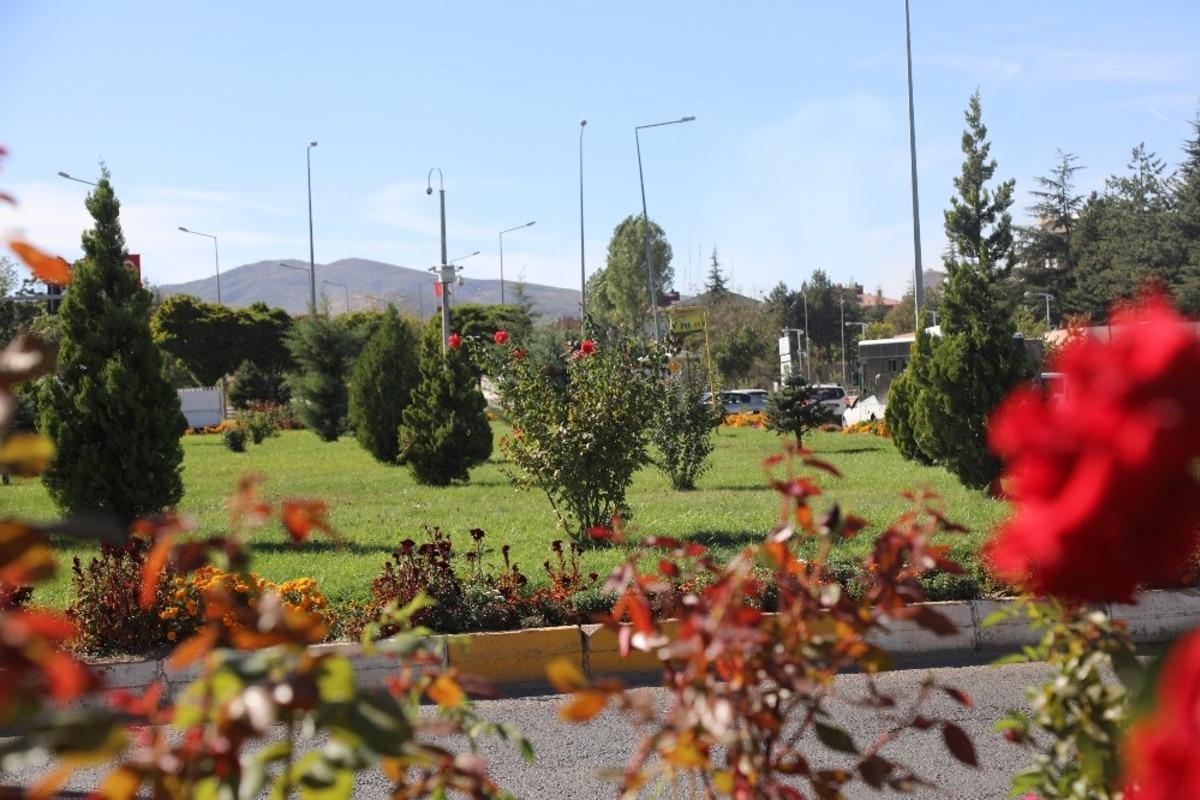 Bing&ouml;l&rsquo;de &uuml;retilen 150 bin bitki toprakla buluştu