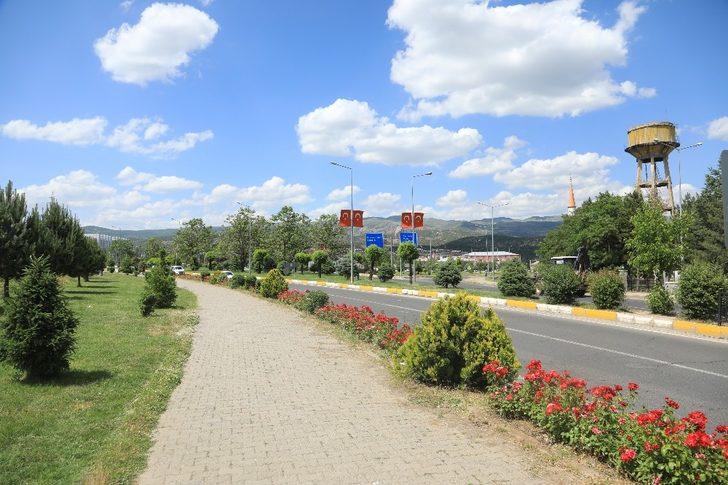 Bingöl’de üretilen 150 bin bitki toprakla buluştu G3