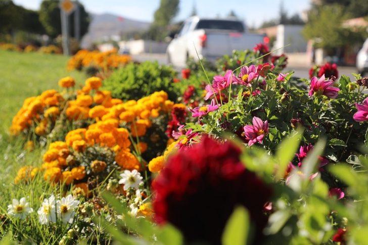 Bingöl’de üretilen 150 bin bitki toprakla buluştu G5