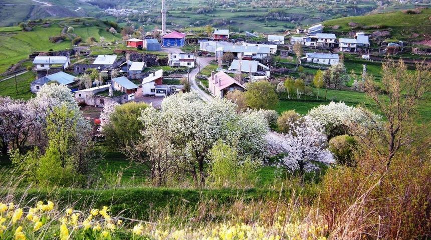 Ardahan’ın ilçelerinde Müftü, Posof’un köylerinde imam yok