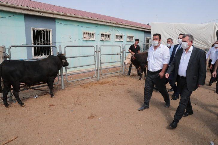 Başkan Beyazgül hayvan borsası esnafını ziyaret etti G3