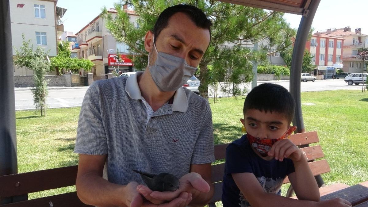 U&ccedil;amayan Ebabil kuşunu Hayvan Ambulansı&rsquo;na teslim etti