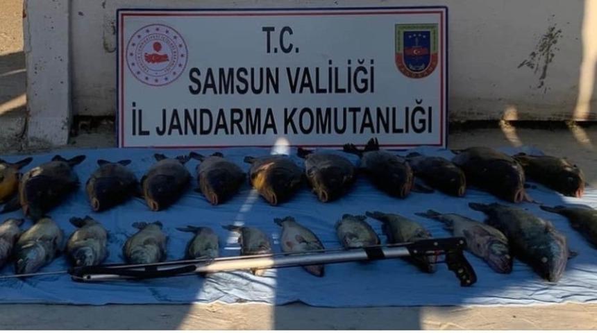 Altınkaya Baraj G&ouml;l&uuml;&rsquo;nde zıpkınla ka&ccedil;ak avlanan 1 kişi yakalandı