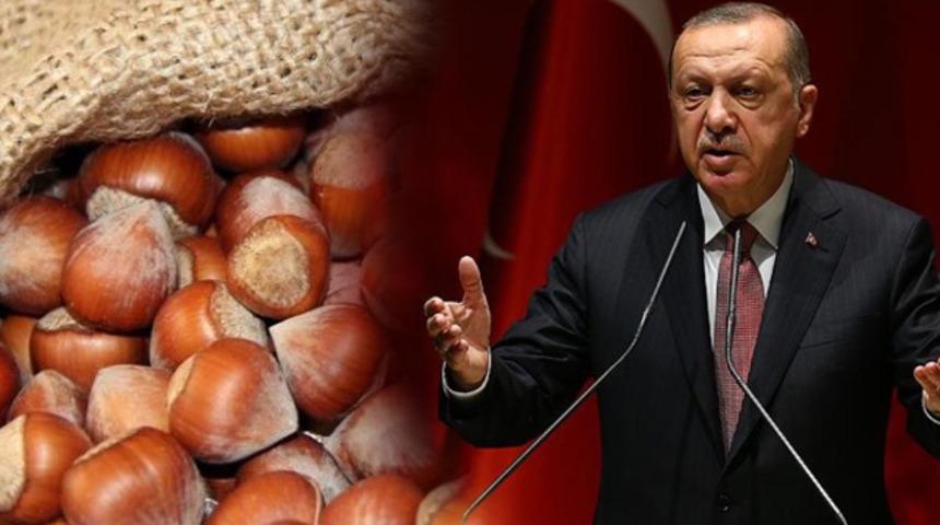 Cumhurbaşkanı Recep Tayyip Erdoğan fındık alım fiyatlarını açıkladı