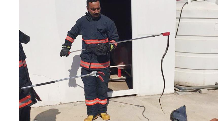 Uzmanlardan vatandaşlara yılan uyarısı