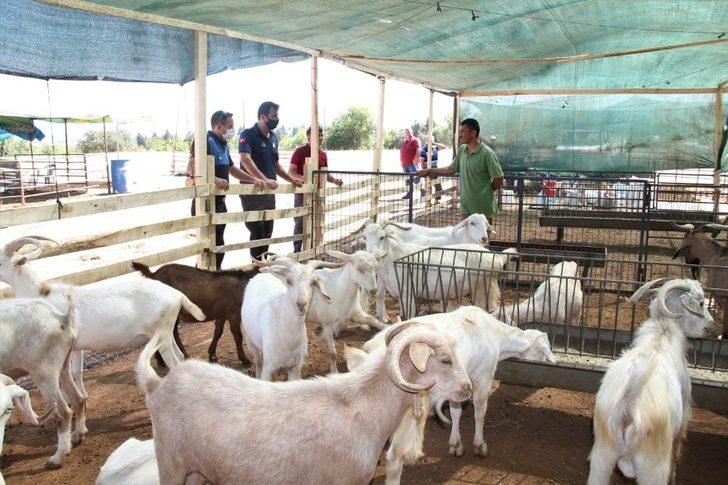 Menderes’te kurban satış yerleri hazır G1