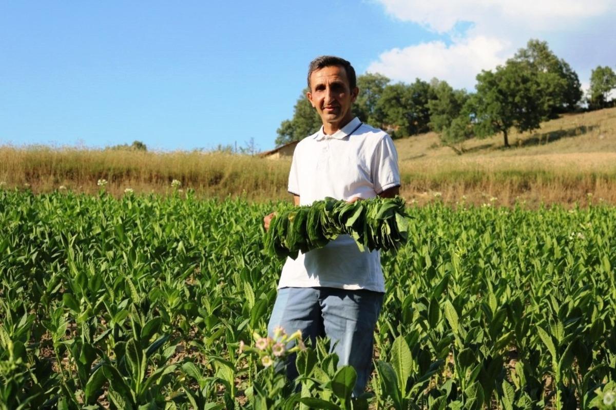Ge&ccedil;imlerini t&uuml;t&uuml;nc&uuml;l&uuml;kle sağlıyorlar