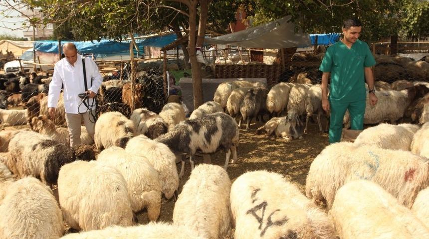Seyhan Belediyesi&rsquo;nden &uuml;cretsiz kurban kesimi