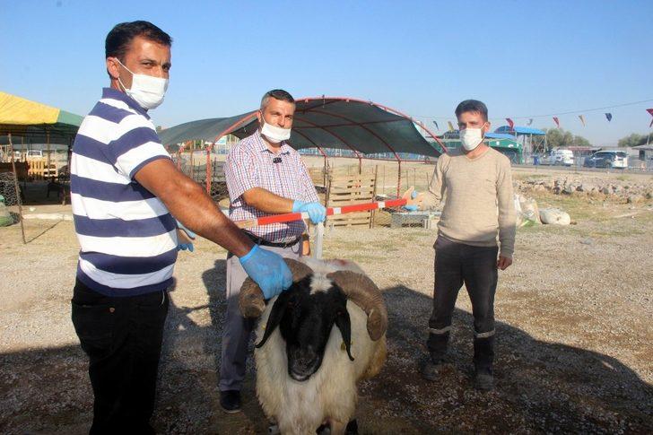 (Özel) Bu aparat gerçek pazarlığı aratmıyor G1