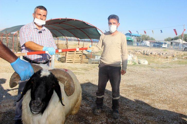 (Özel) Bu aparat gerçek pazarlığı aratmıyor G2