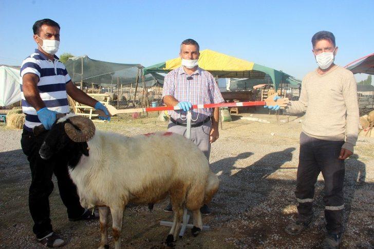 (Özel) Bu aparat gerçek pazarlığı aratmıyor G3