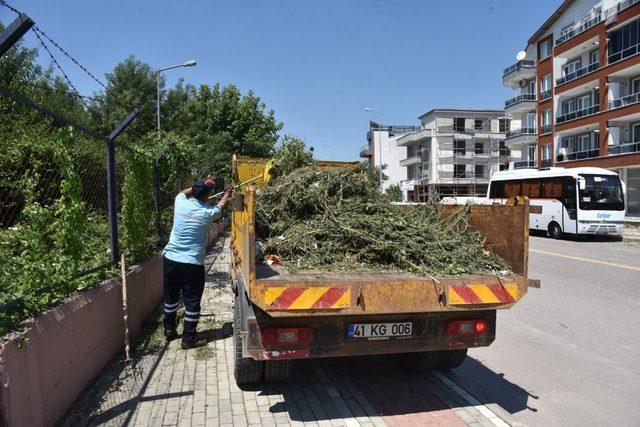 İzmit sokaklarında, yabani ot temizliği sürüyor