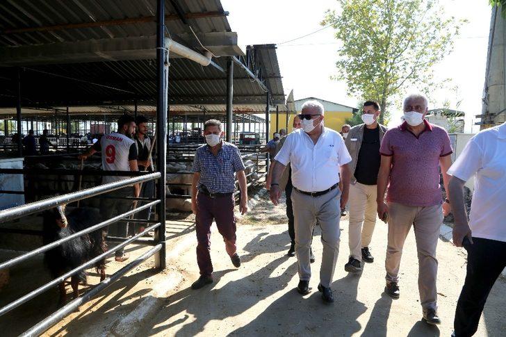 Başkan Atay, hayvan pazarlarını denetledi G1