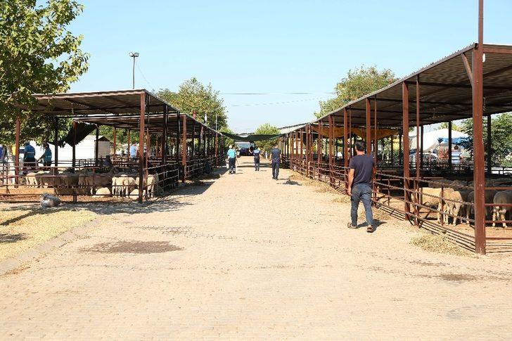 Başkan Atay, hayvan pazarlarını denetledi G2