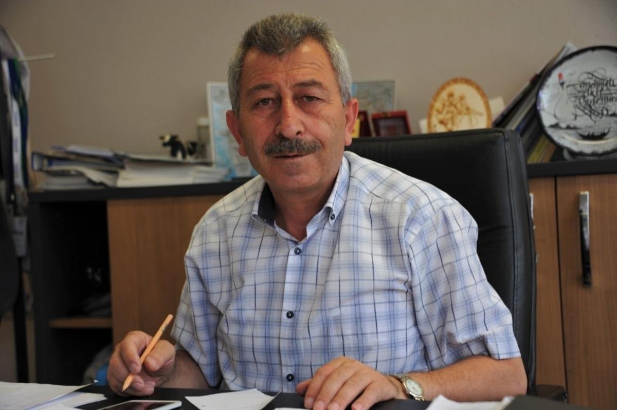 Samsun&rsquo;da &lsquo;mavi yemiş&rsquo; &uuml;retimi yayfınlaşıyor